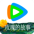 皮裤坐脸